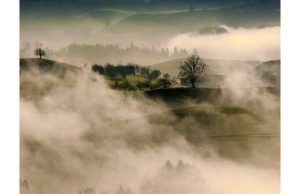 Фотообои Туманные луга