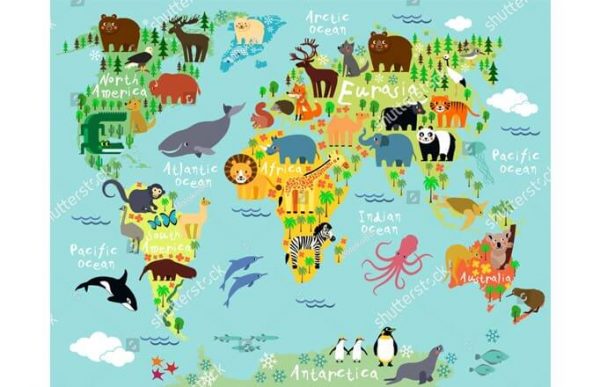Фотообои Красочная карта мира для детей