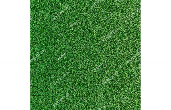 Фотообои Сочная газонная трава