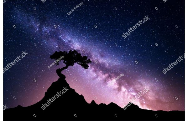 Фотообои Силуэт дерева на космическом фоне