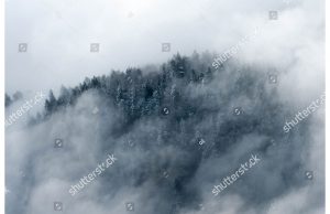 Фотообои Лес в облаках