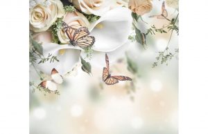 Фотообои Розы и бабочки