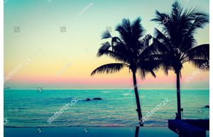 Фотообои Пальмы в лазурном закате