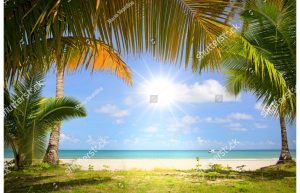 Фотообои Солнце море и пальмы