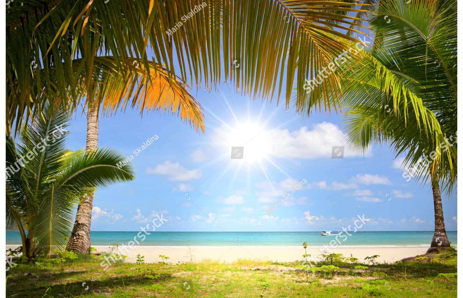 море солнце пальмы
