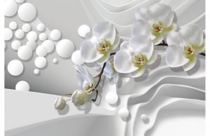 Фотообои Орхидеи 3D
