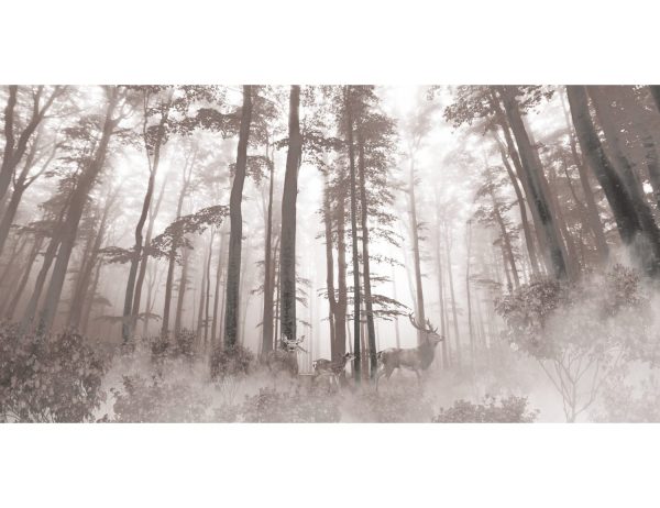 Фотообои Высокие деревья в тумане