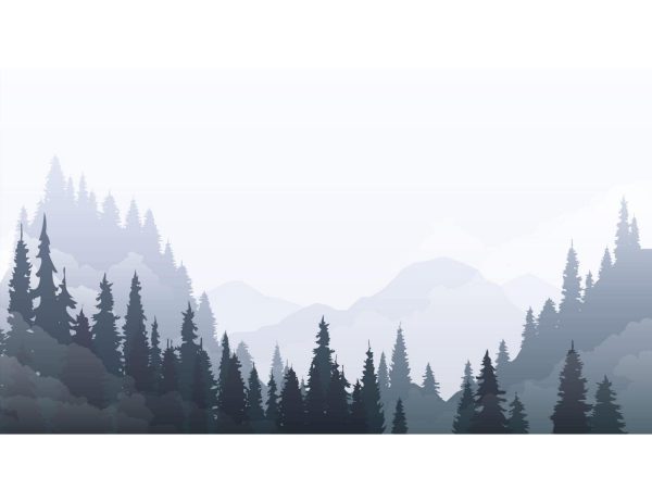 Фотообои Иллюстрация елей в тумане