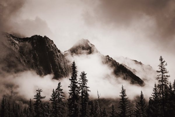 Фотообои Туманный лес и горы чёрно-белые