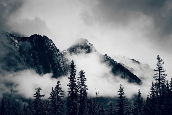 Фотообои Туманный лес и горы сине-белые