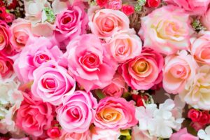 Фотообои Разноцветный букет роз