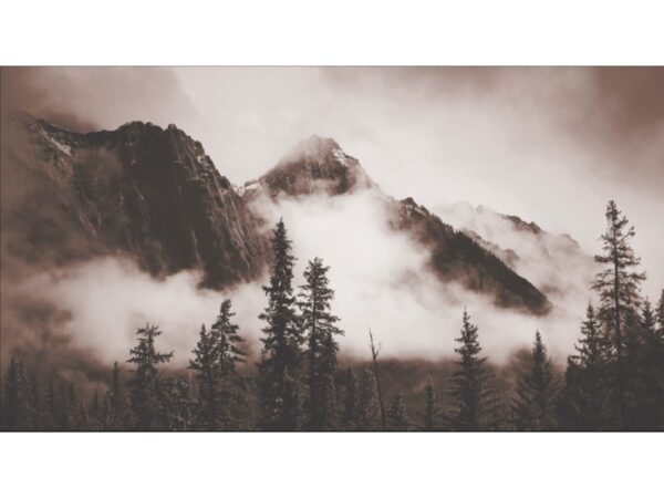 Фотообои Туманный лес и горы бежевые